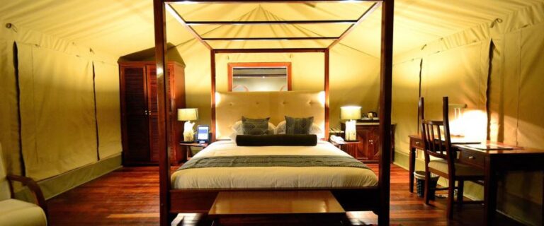 tent